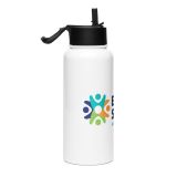 Stainless steel water bottle with a straw lid